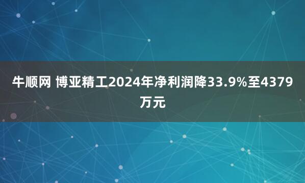 牛顺网 博亚精工2024年净利润降33.9%至4379万元
