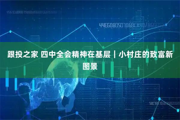 跟投之家 四中全会精神在基层｜小村庄的致富新图景