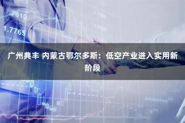 广州典丰 内蒙古鄂尔多斯：低空产业进入实用新阶段
